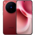 Vivo X300